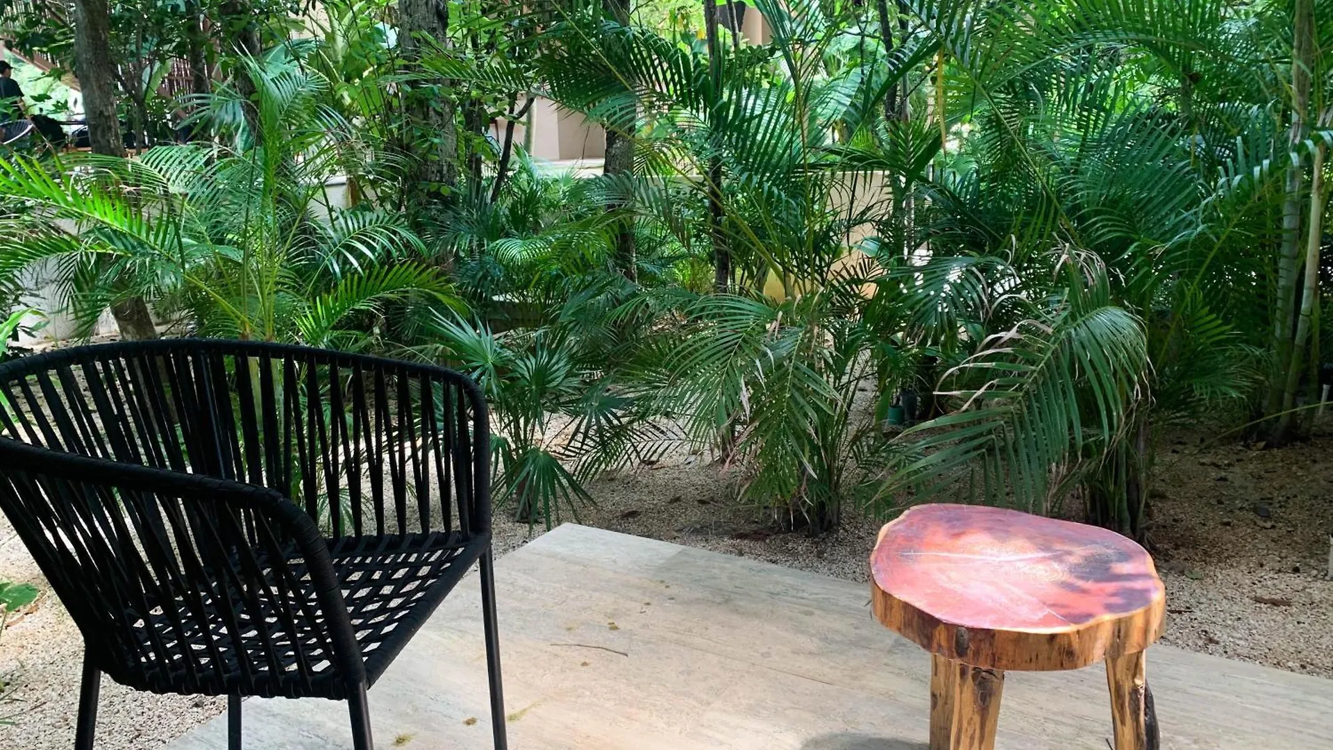 Ophelia Experience Appartement Tulum Pueblo Mexico