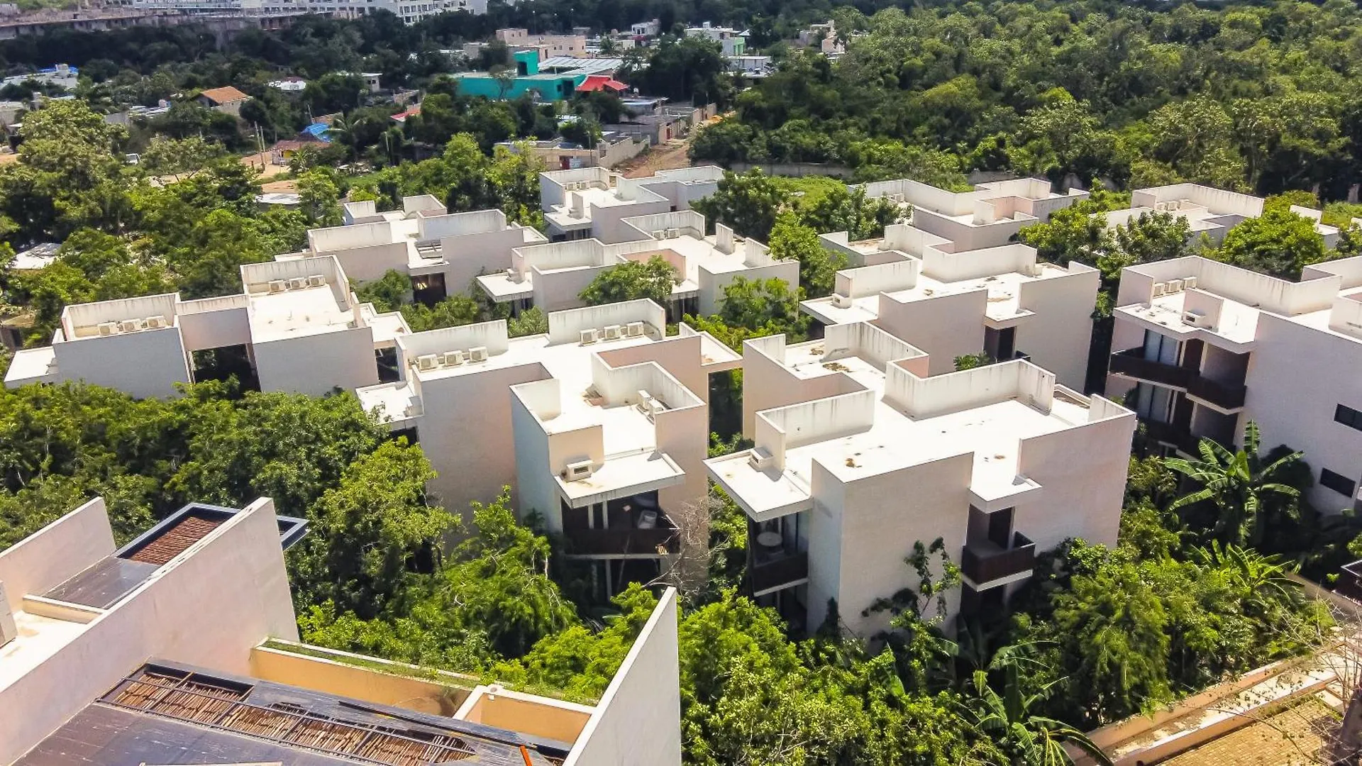 Ophelia Experience Appartement Tulum Pueblo